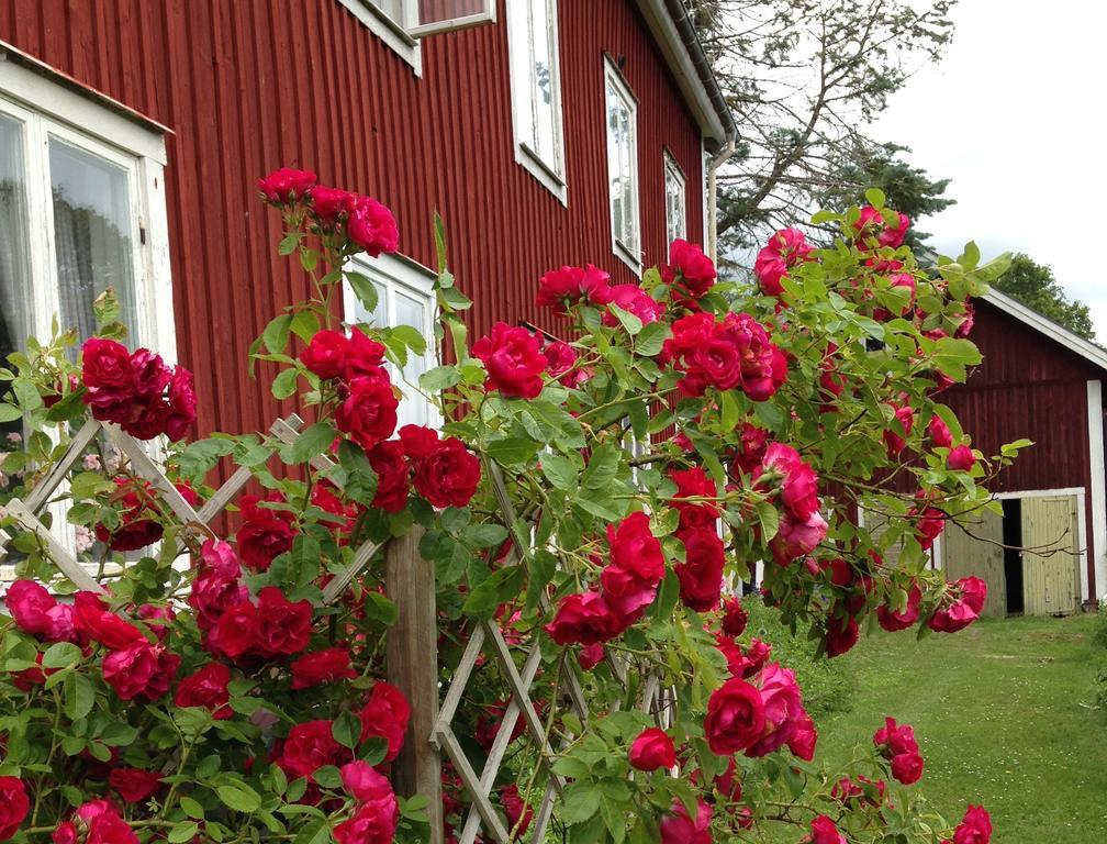 STF Regnagården Hostel Eksteriør billede